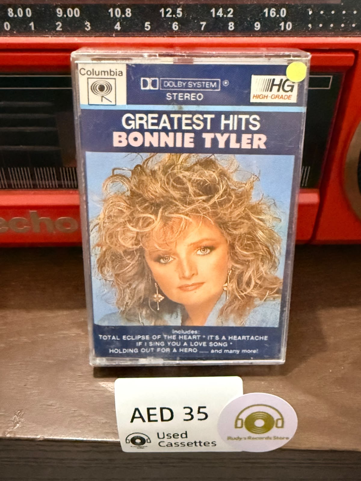 Bonnie Tyler