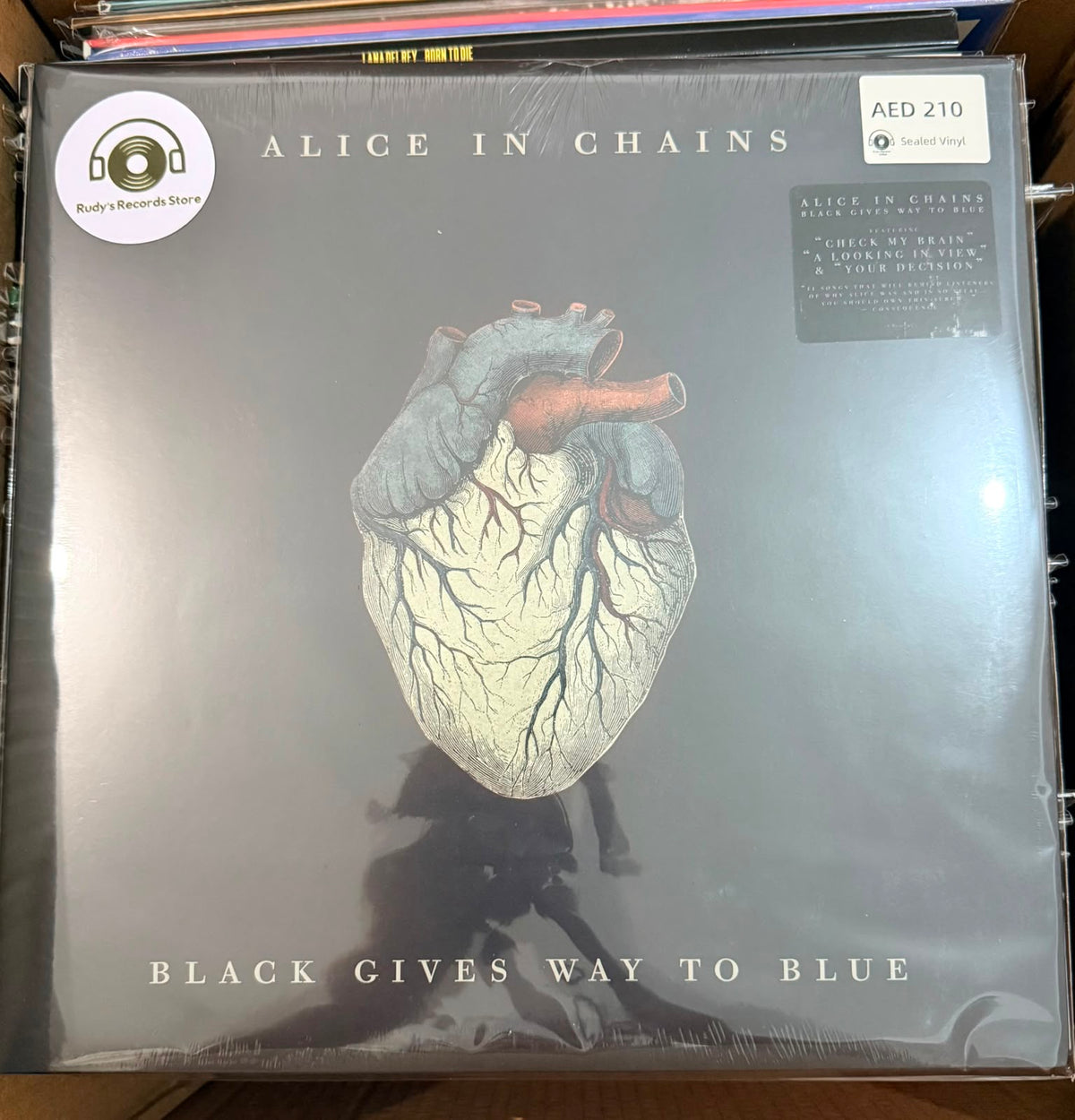 Black Gives Way To Blue | Alice In Chains