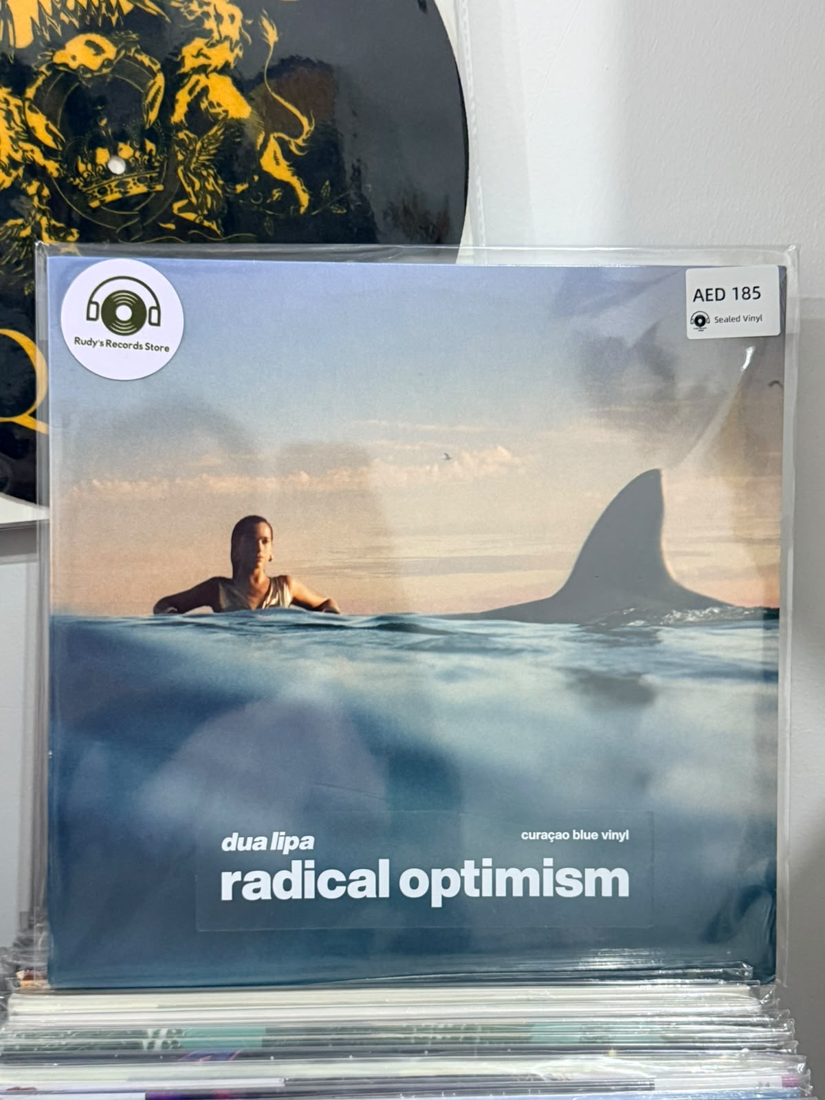 Radilcal Optimism | Dua Lipa
